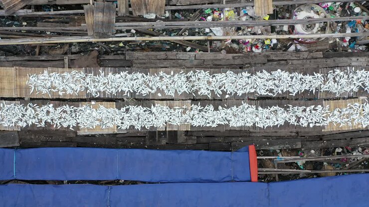 Aerial view of a fish drying market in a developing country