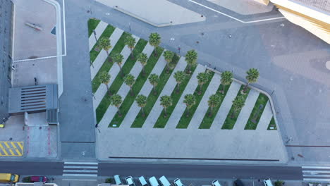 vista aérea desde arriba sobre las palmeras área urbana de montpellier pierre vive moderna