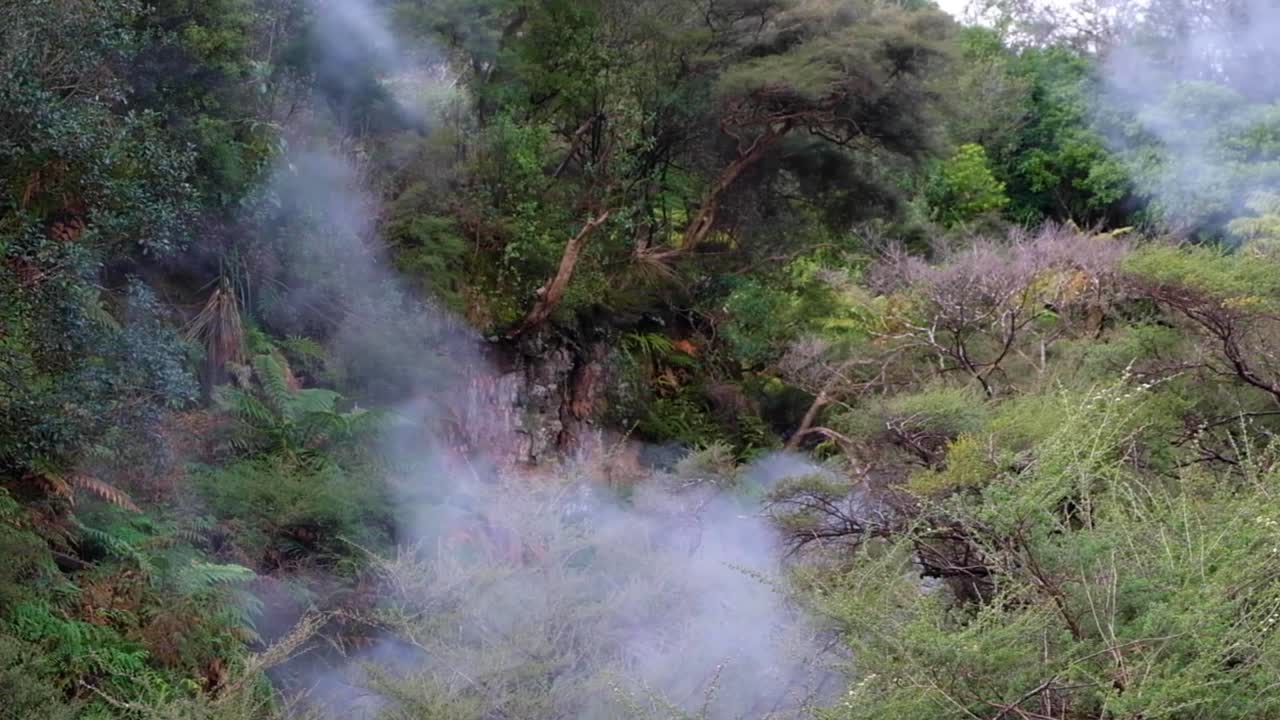 nubes de vapor caliente que se elevan desde el paisaje de fauna nz en el entorno de piscinas termales sulfúricas en nueva zelanda aotearoa