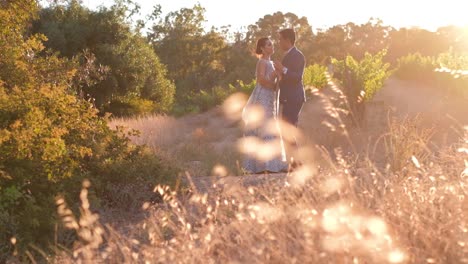 Encantador-Novio-Hindú-Y-Novia-Con-Fondo-De-Naturaleza-Escénica-Puesta-De-Sol