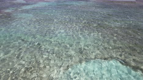 Aerial-View-of-Coral-Reefs-and-Caribbean-Sea-Horizon,-Revealing-Tilt-Up-Drone-Shot