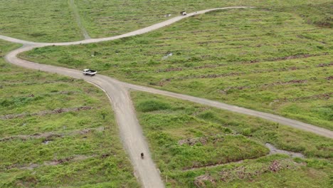 Aerial-shot-of-cross-road-and-trucks-in-a-new-oil-palm-plantation-in-Malaysian