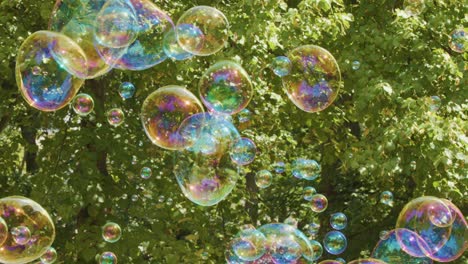 colorful soap bubbles drift gently across a lush green park background, illuminated by natural sunlight. the camera remains steady, capturing a tranquil outdoor scene