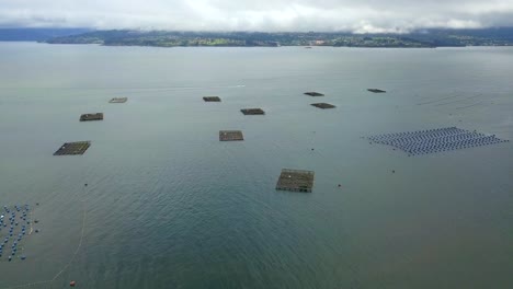 Aerial-flying-forwards-revealing-several-mussel-beds-in-the-coasts-of-Galicia,-Spain