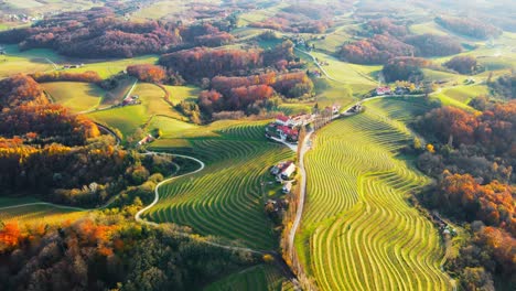 Stunning-aerial-4K-drone-footage-of-an-wine-region-of-Jeruzalem,-Slovenia