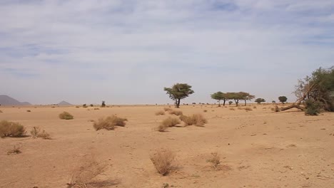 Sahara-Von-Algerien