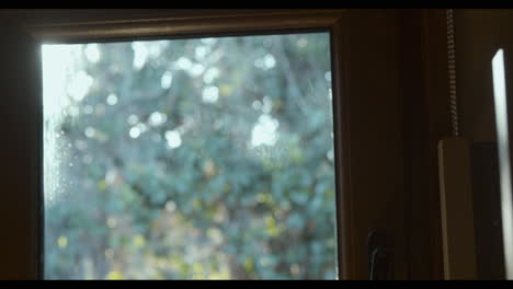 view from the window