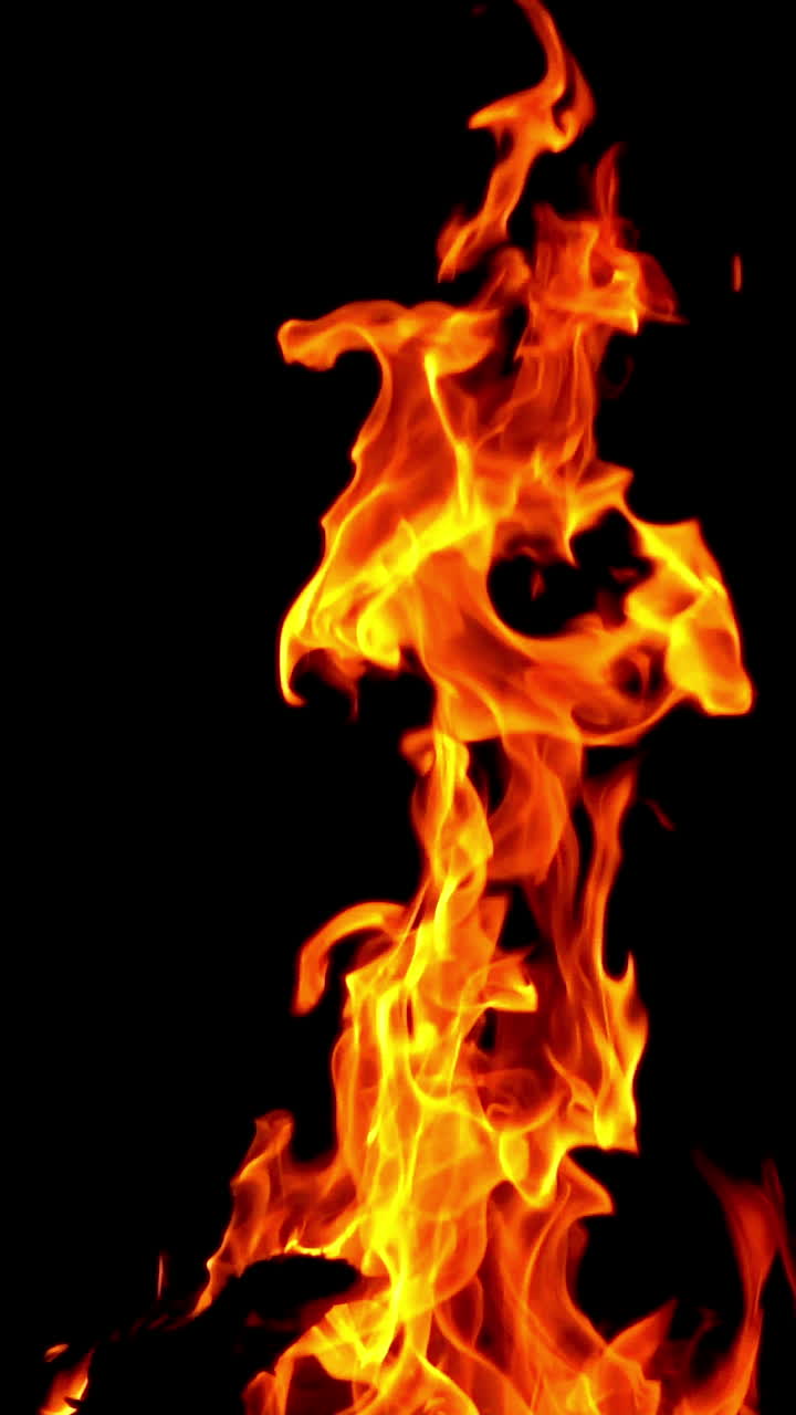 Burning fire. Bonfire. Closeup of flames burning on black background, slow motion Vertical video