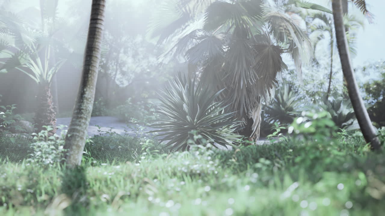 фон естественных пальмовых листьев и ветвей деревьев