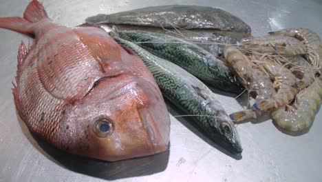 collection of fresh fish, red sea bream, mackerel, prawns, and sole flatfish