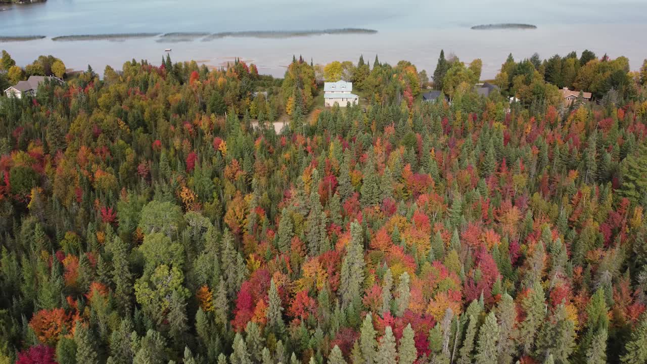 cerrando en una casa blanca en medio de un bosque de otoño