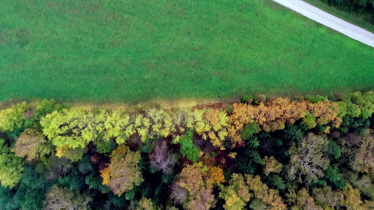 vista aérea de una carretera que atraviesa un prado entre dos bosques