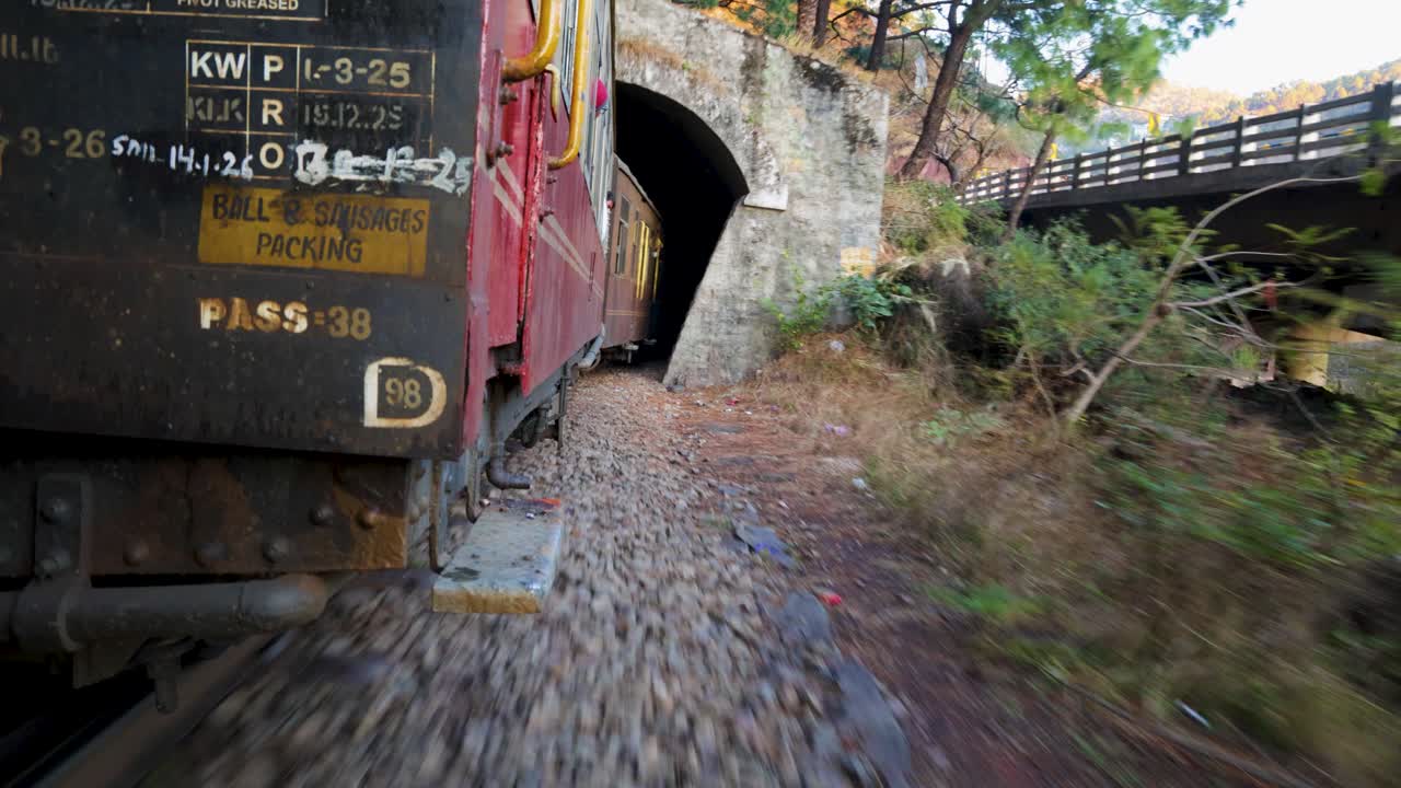 Viaggio panoramico in trenino attraverso una pineta e un tunnel in una regione montuosa.