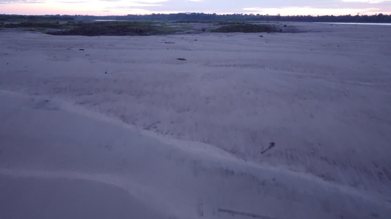 Close Up Drone Flight Over Sandy Beach On The Amazon River At Sunset. tilt-up reveal