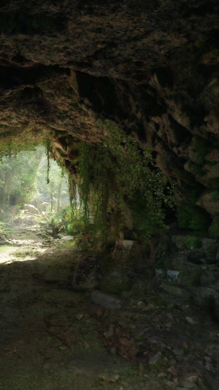 Light shines through a cave opening in a forest during daytime