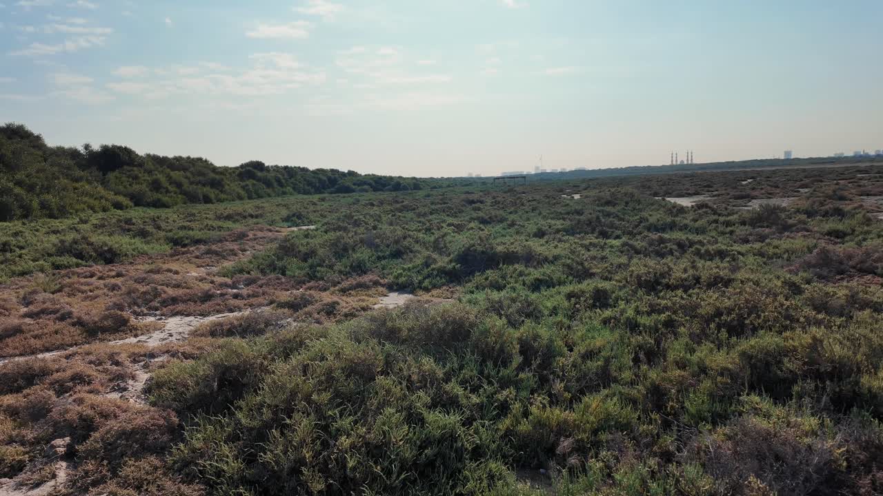 Le Mangrovie di Al Zorah ad Ajman, Emirati Arabi Uniti, un rifugio sereno per la fauna selvatica e gli amanti della natura.