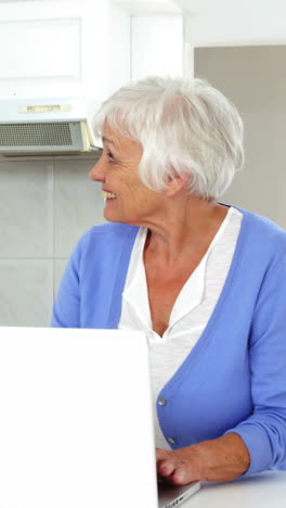 mujer madura usando una computadora portátil y hablando con una mujer