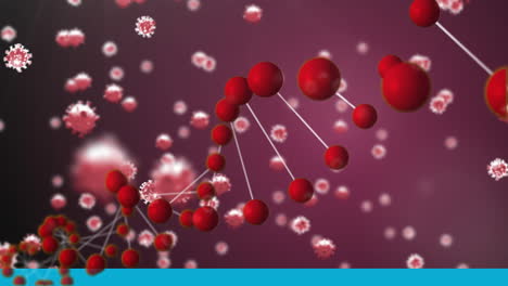 dna structure and covid-19 cells against purple background