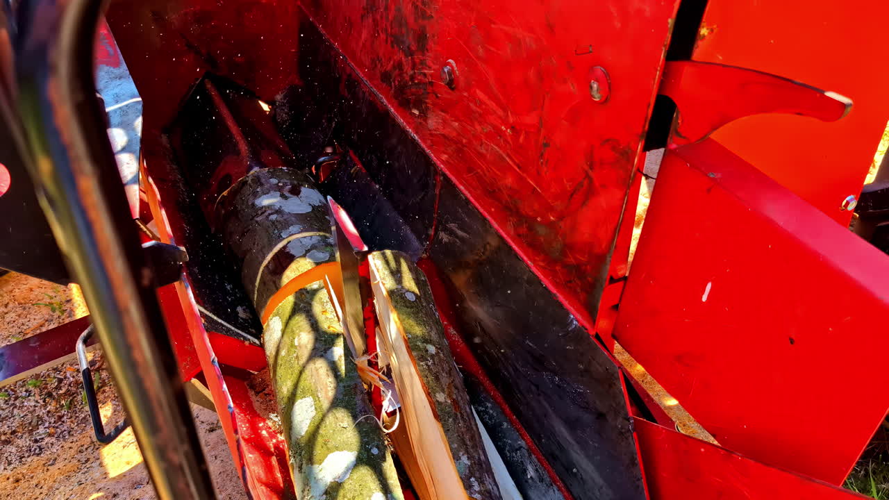 Wood processor machine cutting and splitting log into firewood in close-up view