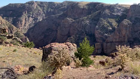 escasa vegetación en los acantilados del cañón, impresionante panorama de royal gorge, colorado