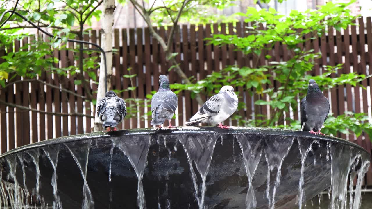 l'ny manhatten의 새