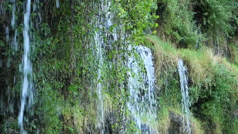 cascada de agua en un bosque exuberante