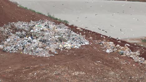 Aerial-4K-footage-showcases-dozens-of-birds-gathering-at-a-waste-dump-site-while-local-residents-collect-rubble