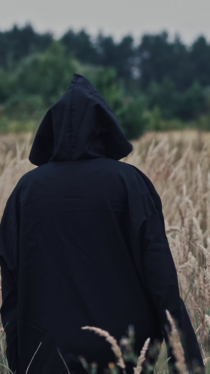 Dark ghost on a wheat field. Back view of a spooky figure in black cloak turning its scary face on camera on the nature background. Vertical video