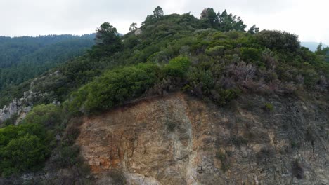 Aufwärtsbewegungsaufnahme,-Die-Einen-Wald-Auf-Einem-Berg-Zeigt,-Der-Von-Einer-Klippe-Ausgeht