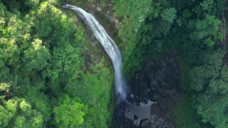 waterfall in fresh lush green forest, intact nature ecosystem, aerial orbit