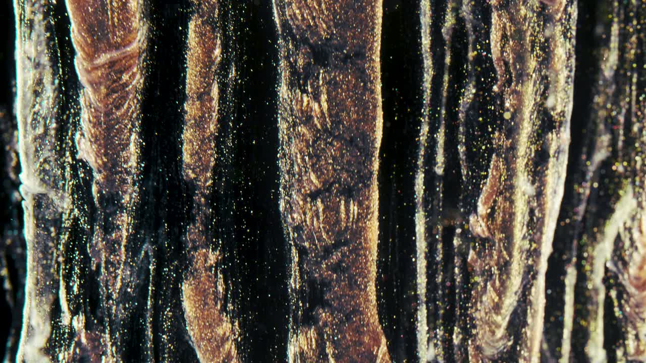 las partículas de tinta dorada fluyen en el agua como un caos colorido en el fondo negro