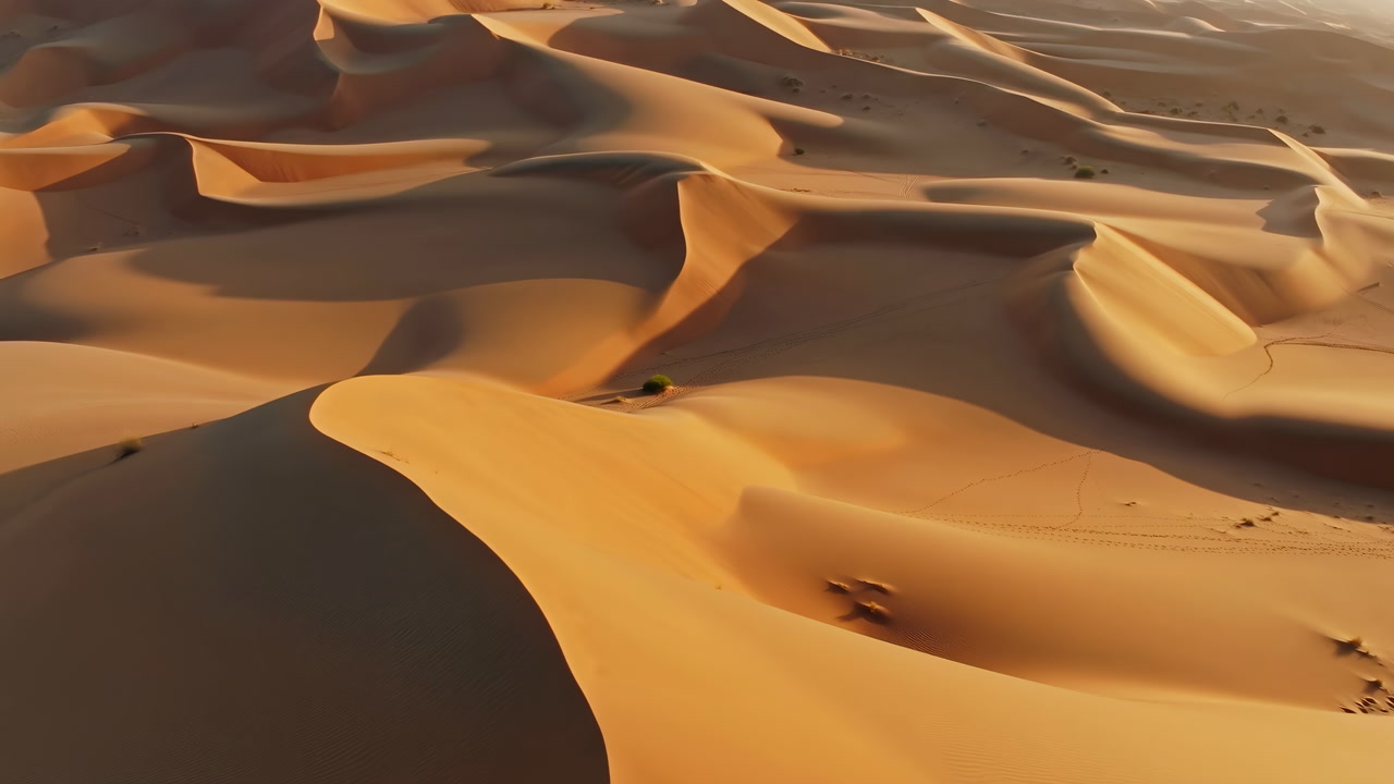 Golden Dunes Shaped By Wind With Sharp Shadows And Flowing Ridges, Aerial Viewpoint Captures Texture