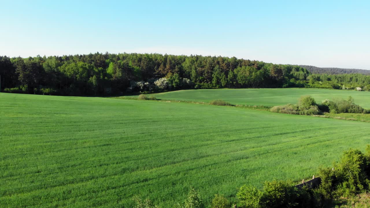 tiro de carro de pradera en el distrito de pomerania en polonia