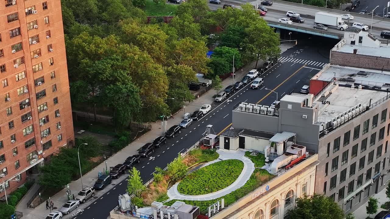Rooftop garden in New York City showcasing greenery and urban living