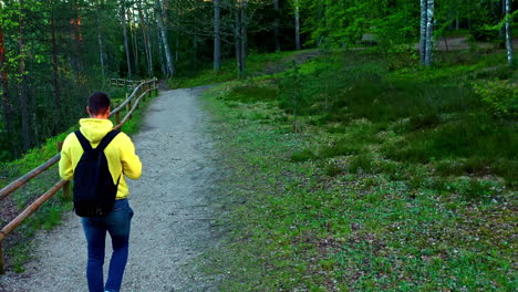 man walking along forest trail with wooden railing on early summer morning