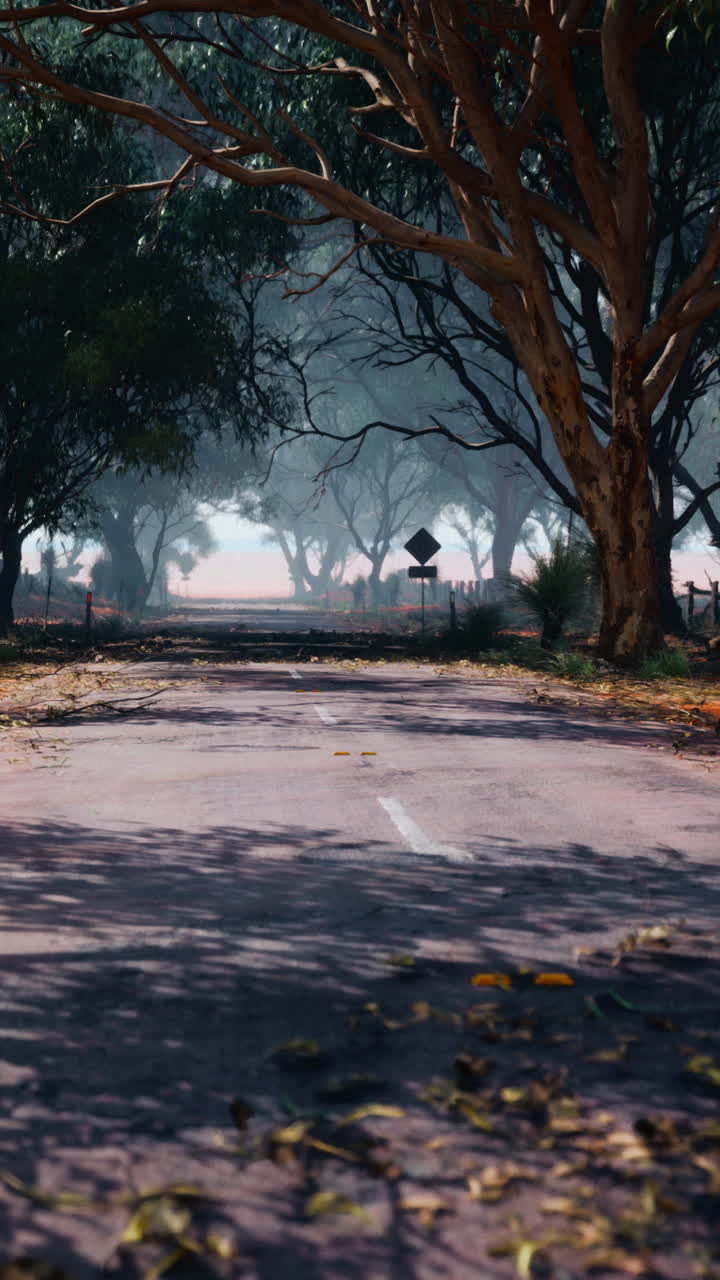 camino vacío en un bosque de niebla