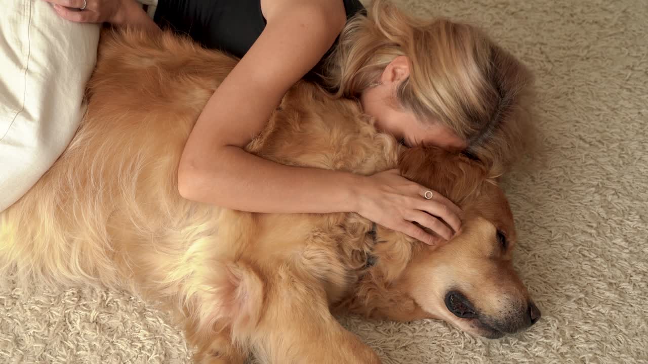젊은 여성은 그녀의 사랑스러운 라브라도르 리트리버 개를 애정으로 만지고 있습니다.