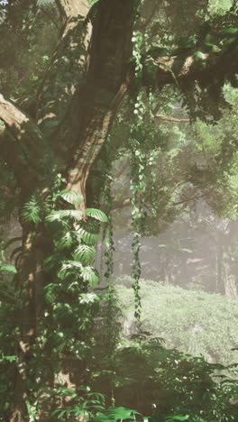 a lush jungle scene with tall trees and sunlight streaming through the foliage