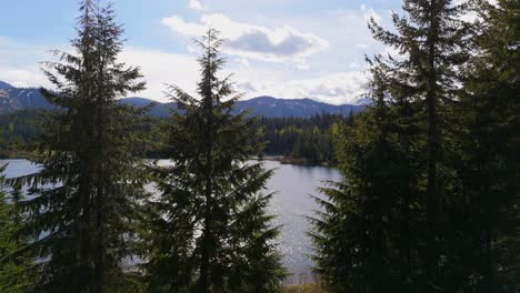 Ascending-view-of-Gold-Creek-Pond-and-Nature-on-a-blue-day-in-Washington-State