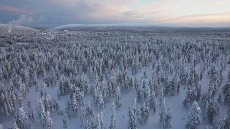 aerial view of snow covered landscape with snow-covered trees in lapland, finland, arctic circle