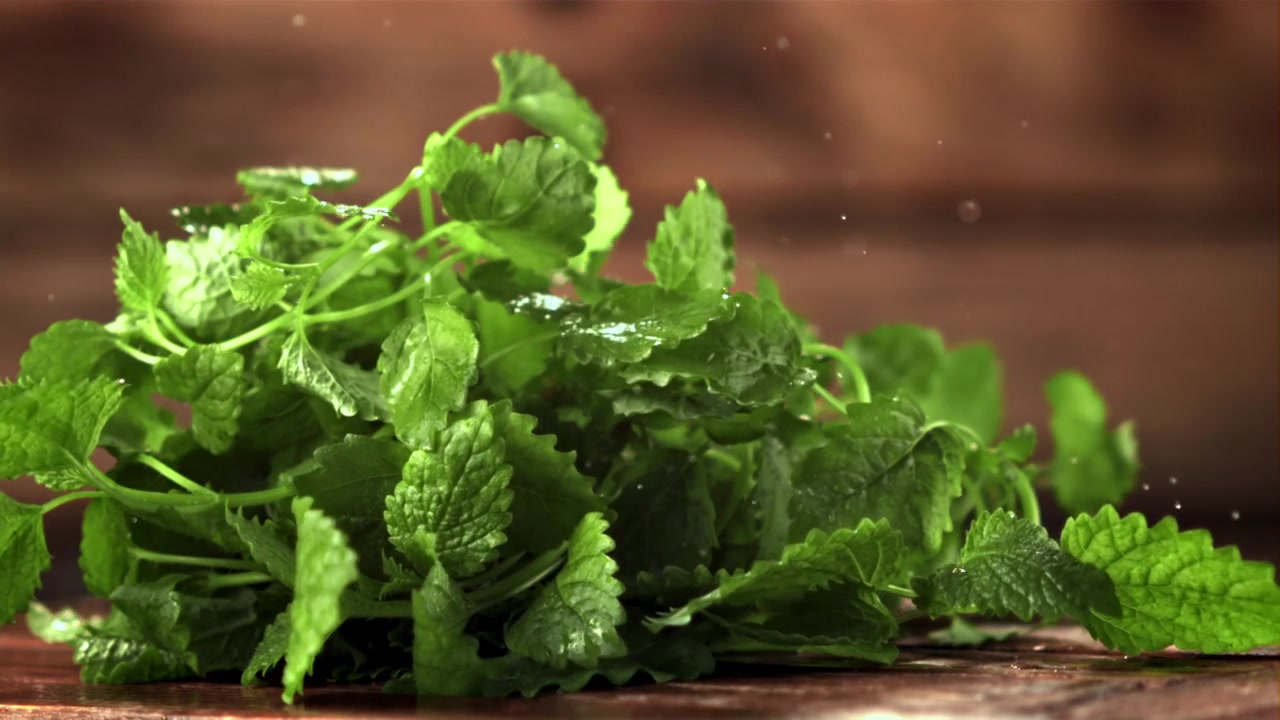 Foglie di menta verde fresca che cadono e schizzano acqua sul legno