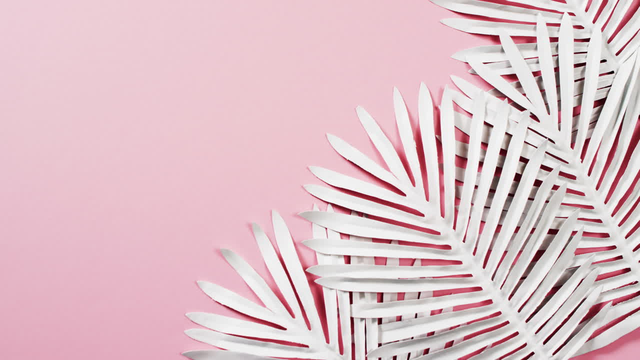 video de hojas de plantas blancas con espacio de copia en fondo rosa