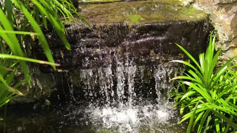 pequeña característica de la cascada del jardín