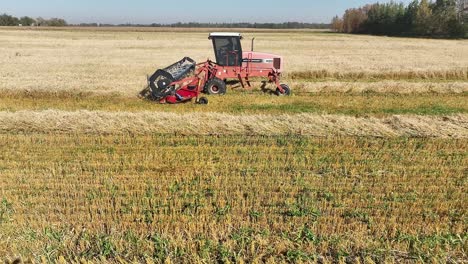 Drone-shot-panning-by-a-swather-cutting-wheat