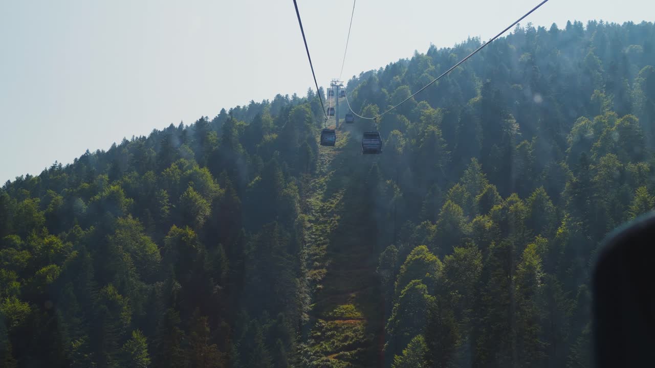 Cable cars glide over a dense forested mountain on a sunny day in serene nature