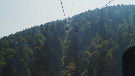 cable cars glide over a dense forested mountain on a sunny day in serene nature