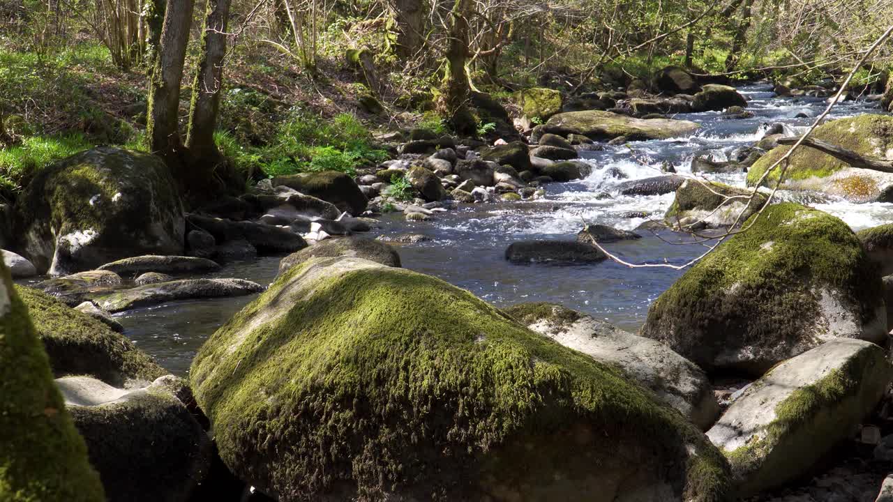 agua dulce que fluye por el río teign en el parque nacional de dartmoor