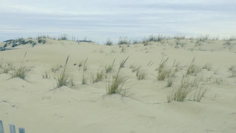 Dunas-De-Arena-Costeras-Y-Hierba-Alta-Detrás-De-Una-Corta-Valla-De-Madera-Cape-Henlopen-State-Park-Delaware,-Estados-Unidos-En-Un-Día-Nublado-De-Primavera