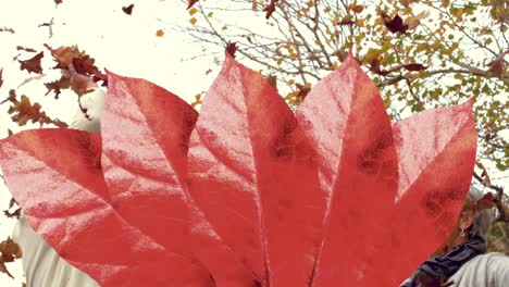 Animation-Von-Herbstblättern,-Die-über-Ein-Glückliches-älteres-Kaukasisches-Paar-Fallen,-Das-Blätter-Im-Park-Wirft