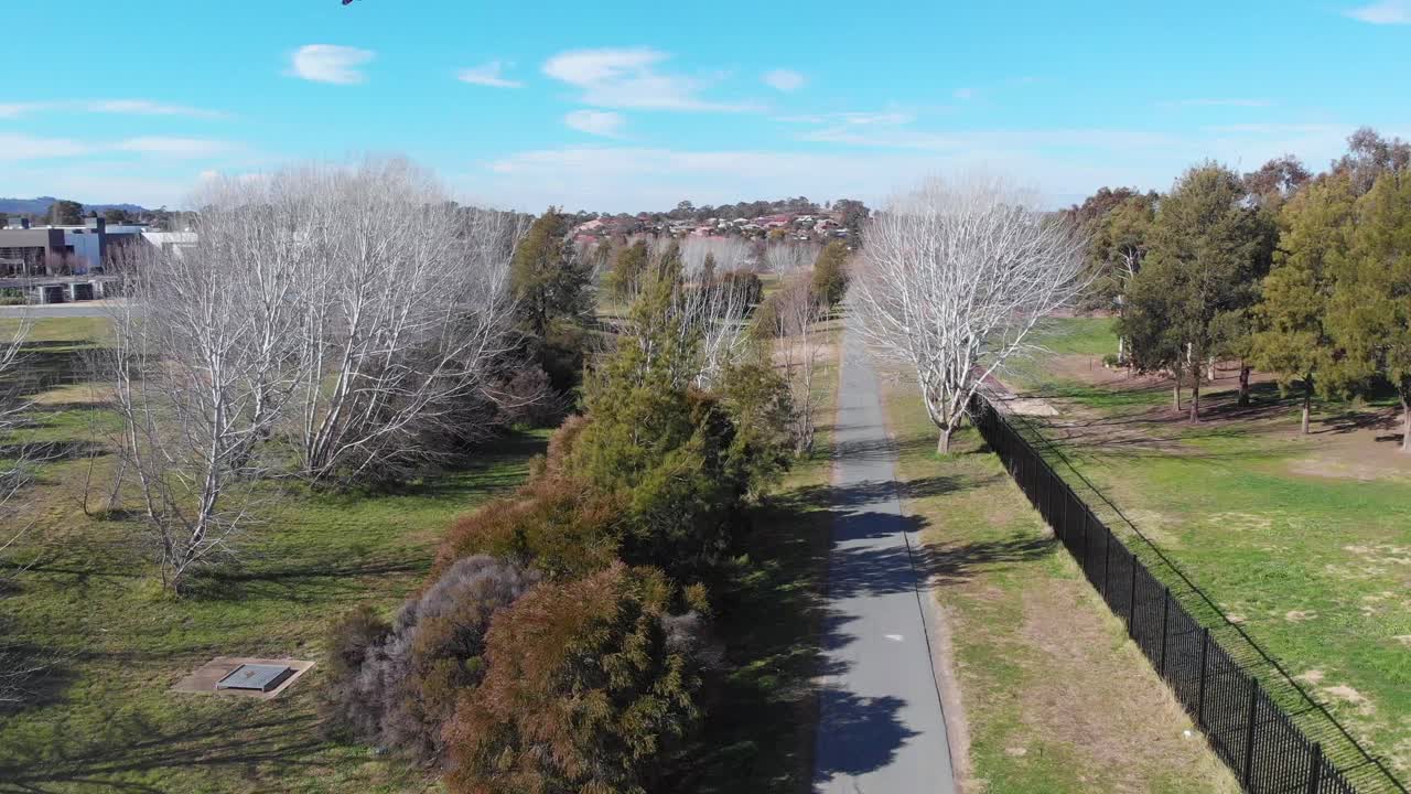 잎이 있는 나무와 잎이 없는 나무 사이에서 아름다운 겨울 아침 산책